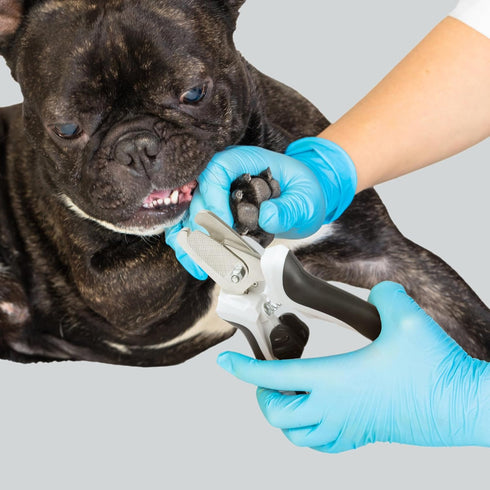 TwoEar Dog Nail Clippers with Light - Dog Nail Trimmers with Quick Sensor & Safety Guard for Medium Large Dogs
