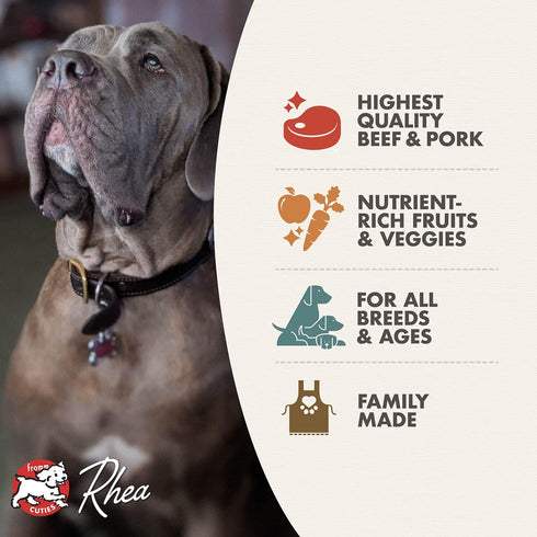 Fromm 4 lb Four-Star Nutritionals Beef Frittata Veg Dog Food - Premium Dry Dog Food - Beef Recipe