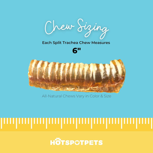 hotspot pets Premium Beef Trachea for Dogs 6" STRIPS Split - All Natural Grass-Fed Beef Dog Chews