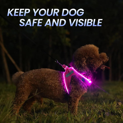 PceoTllar Light Up Dog Harness, LED No Pull Reflective Dog Harness, Flashing Lighted for Night Walking - Small/Medium
