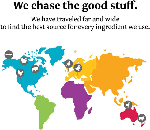 Solid Gold Canned Dog Food for Adult & Senior Dogs, Real Chicken & Whole Grains, Star Chaser High Calorie Wet Dog Food