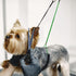 Pet Grooming Loops for Dogs, Stainless Steel No Sit Haunch Holder for Grooming Arm and Table