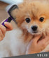 Pet Slicker Brush - Dog & Cat Brush for Shedding & Grooming, Dematting & Detangling Self-Cleaning Brushes