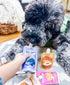 3 Pack, 4oz Packs Bark Bistro Awesome Apple Buddy Budder Peanut Butter for Dogs, Squeeze