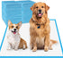 Dog Pads Extra Large 30"x36", 30-Count XXL Puppy Pads, Super Absorbent Disposable Bed Pads