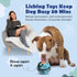 Interactive Dog Toys - Frozen Treat Puzzle Ball Toy, Durable Rubber Chew Toys for Dogs, Mental Enrichment Toys