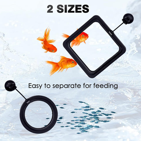 Automatic Fish Feeding Ring, Durable Aquarium Accessory, Prevents Uneaten Food, Easy to Install for Busy Owners