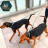 6in1 Multifunctional Dog Leash - Hands Free, Adjustable Length (3'7"-6'7"), Forest Print for Medium and Large Dogs,