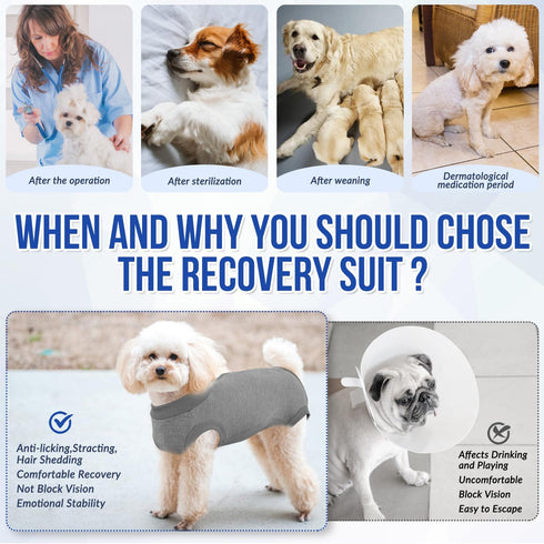 SlowTon Dog Recovery Suit, Surgery Recovery Onesie for Female Male Dogs, E-Collar Alternative for Spay Abdominal Wounds