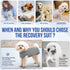 SlowTon Dog Recovery Suit, Surgery Recovery Onesie for Female Male Dogs, E-Collar Alternative for Spay Abdominal Wounds