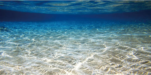 AWERT 24x16 inches Ocean Floor Aquarium Background, Underwater Fish Tank Background, Undersea Theme Aquarium Background