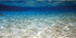 AWERT 24x16 inches Ocean Floor Aquarium Background, Underwater Fish Tank Background, Undersea Theme Aquarium Background