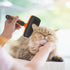 Self-Cleaning Slicker Brush for Dogs & Cats, Grooming Brush for Shedding, Skin-Friendly Deshedding Tool
