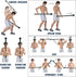 Yes4All Steel Mace Bell for Strength Training - 5 to 30lb for Full Body, Muscles, Rehabilitation, Stretching