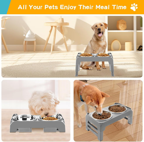 Elevated Dog Bowls for Small Medium Dogs, 3 Height Adjustable Stand with 2 Thick 6" Stainless Steel Bowls