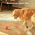 IPX7 Cheerble Smart Interactive Dog Toy, Wicked Ball AIR, Automatic Moving, Bouncing, Rotating, Waterproof Rating