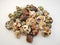 Florida Shells and Gifts Inc. FSG - 30 Select Hermit Crab Shells Lot 1"-2" Size (Opening 1/2"-1")