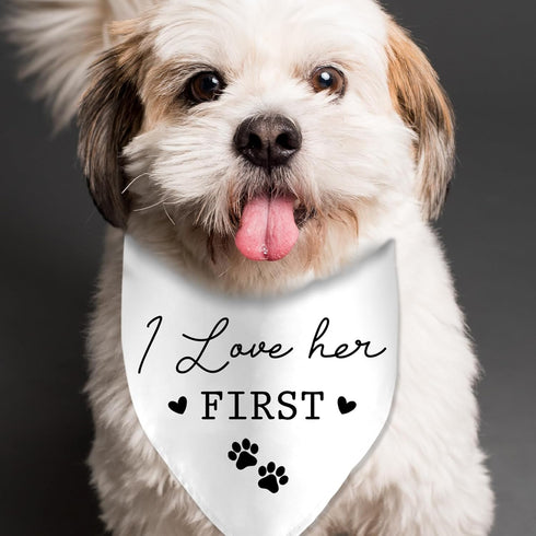 I Loved Her First Wedding Dog Bandana, Engagement Valentine's Pet Scarf Bibs for Wedding Photo Props