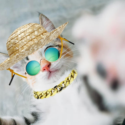 6PCS Pet Dog Cat Costume - Retro Sunglasses, Adjustable Gold Chain Collar & Straw Hat, Funny Accessories for Birthday