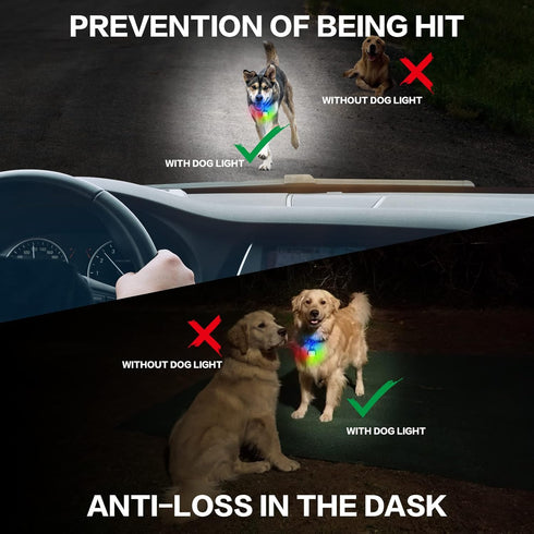 Dog Lights for Night Walking – Color Changing Collar Light, 4 Modes Rechargeable, IP65 Waterproof, 2 Pack Dog Flashlight