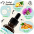 3 2 Oz Milk Thistle for Dogs - Liver & Kidney Support, Natural Detox & Hepatic Health, with Wild Alaskan Salmon Oil