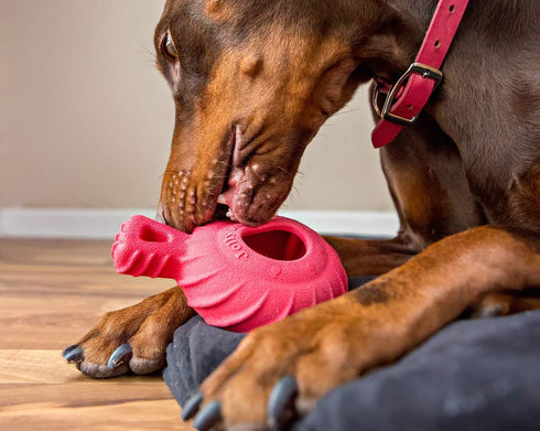 Jolly Pets Tuff Treader Dog Toy with Handle, 6 Inches, Red, Model JTR23, All Breed Sizes