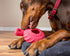 Jolly Pets Tuff Treader Dog Toy with Handle, 6 Inches, Red, Model JTR23, All Breed Sizes