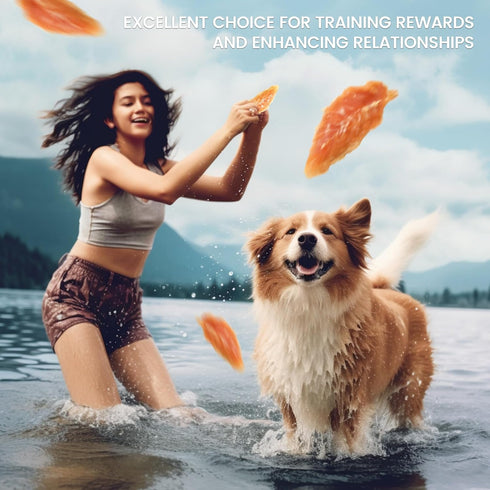 12 Counts, 10.6 oz Pawmate Dog Treats Chicken Jerky Tenders, Healthy Human Grade Chicken w/Taurine Rawhide-Free
