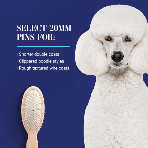 Chris Christensen 20 mm Oval Pin Dog Brush, Original Series, Lightweight Beech Wood Body