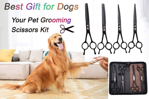 7.0 Inches Professional Pet Cat Dog Grooming Shears Scissors Kit - Straight, Curved, Thinning/Blending/Chunking