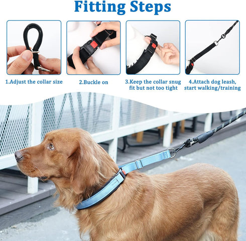 Mayerzon No Pull Dog Collar, Martingale Collar for Small Medium Large Dogs, Heavy Duty Nylon for Training