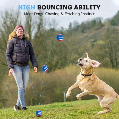 Nobleza 12 Pack Dog Tennis Balls - Durable Bouncy Floatable Squeaky Balls for Fetch & Exercise, 2.5in