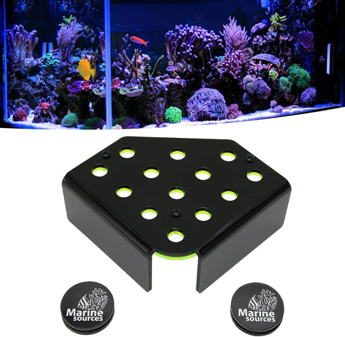 Magnetic Coral Frag Rack, Fluorescent Green Acrylic with 13 Holes, Safe Stable for Saltwater Aquarium and Fish Tanks