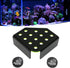 Magnetic Coral Frag Rack, Fluorescent Green Acrylic with 13 Holes, Safe Stable for Saltwater Aquarium and Fish Tanks