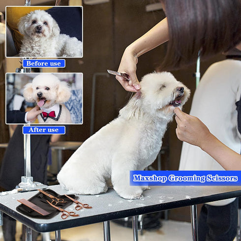 Dog Grooming Scissors - Maxshop Premium Stainless Steel Trimmer Kit, Professional Set of 4