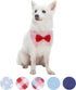 Blueberry Pet 5 Patterns Modern Pink Plaid Adjustable Dog Bandana Collar with Bow Tie, Small, Neck 12"-16"
