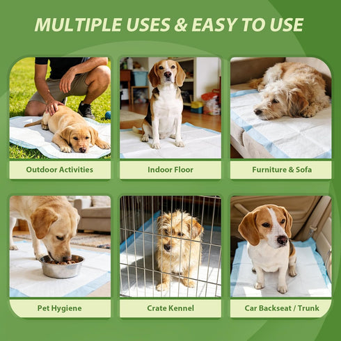 28"x34", 30 Count DEEP DEAR Extra Large Dog Pads Thicker Puppy Pads XL, Super Absorbent Pee Pads for Dogs, Disposable