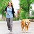 Fida 4 FT Heavy Duty Dog Leash - Green with 2 Padded Handles, Traffic Handle & Easy Snap Hook for All Breeds