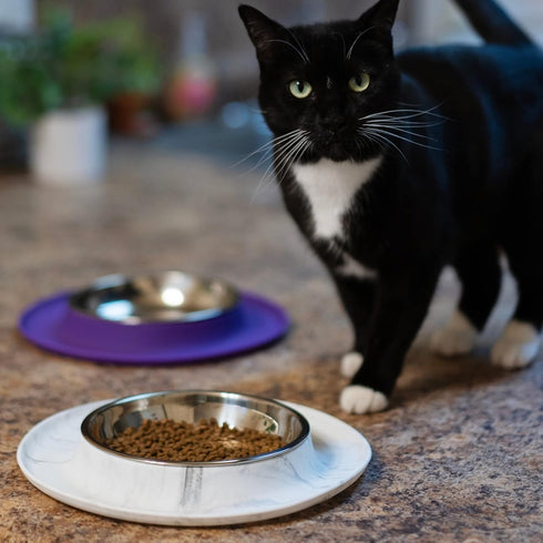 Messy Cats Single Silicone Feeder - Anti-Slip Non-Skid Cat Food Bowl, 1.75 Cups (Marble)