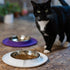 Messy Cats Single Silicone Feeder - Anti-Slip Non-Skid Cat Food Bowl, 1.75 Cups (Marble)