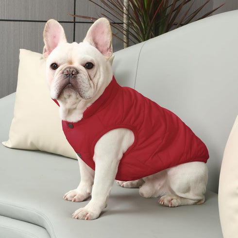 2 Layers Fleece Lined Warm Dog Jacket for Puppy Winter Cold Weather, Soft Windproof Small Dog Coat, Red M