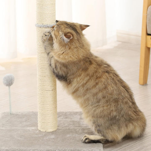 10" Cat Scratching Replacement Posts, 2 Pack Sisal Spare Scratcher Refill for Cats Cube Tower with M8 Screws