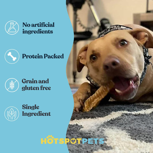 6" (10 Pack) hotspot pets Premium Beef Trachea for Dogs Strips Split All Natural Grass-Fed Beef Dog Chews, Rich