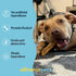 6" (10 Pack) hotspot pets Premium Beef Trachea for Dogs Strips Split All Natural Grass-Fed Beef Dog Chews, Rich