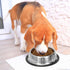 2 Pack Stainless Steel Dog Bowls with Rubber Bottom, Non-Skid Heavy Duty Feeder Bowls for Dogs, Cats (3.5 Cup / 28oz)