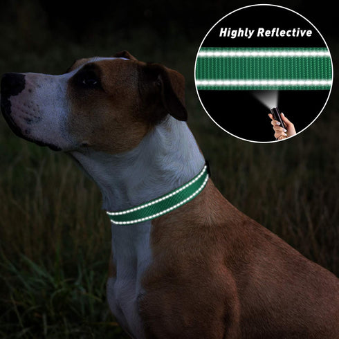 TagME Classic Reflective Nylon Dog Collar, Adjustable with Quick Release Buckle for Puppies, Turquoise, 3/8" Width