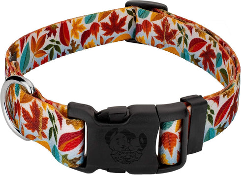 Country Brook Design 1/2 Inch Adjustable Dog Collar, Autumn Fall Collection for Small Medium Large Breeds (Brisk