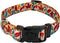 Country Brook Design 1/2 Inch Adjustable Dog Collar, Autumn Fall Collection for Small Medium Large Breeds (Brisk