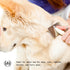 Muse Apothecary Pet Ritual Detangling Spray - Dog & Cat Detangler with Essential Oils, 8oz Lavender Fields