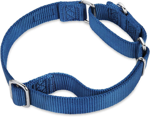 Hyhug Pets Premium Durable Nylon Anti-Escape Martingale Collar for Dogs, Comfy and Safe, Medium, Classic Blue